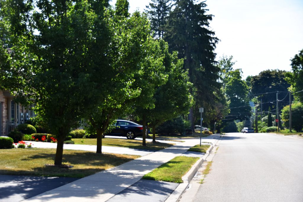 Small trees do not benefit the neighbourhood nearly as much as large, mature trees do.