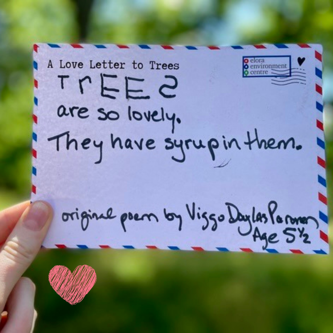 Love Letters to Trees – Elora Environment Centre