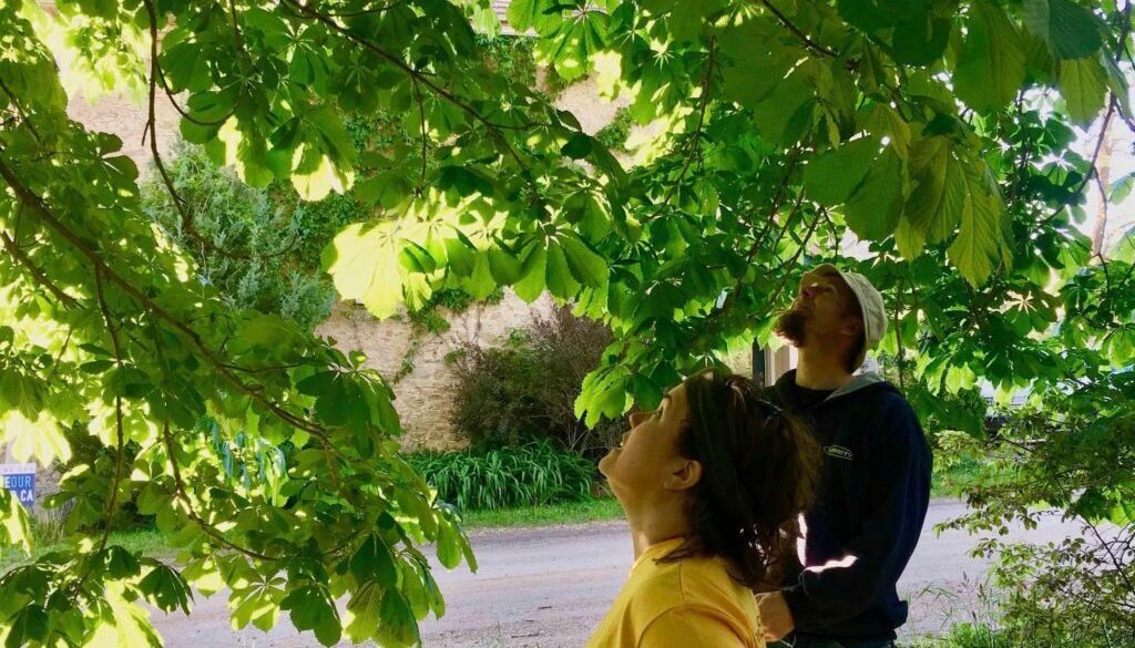 IMG_9813-2-1024x1024-1-1024x1024