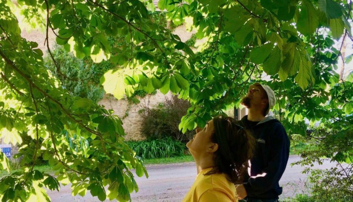 IMG_9813-2-1024x1024-1-1024x1024