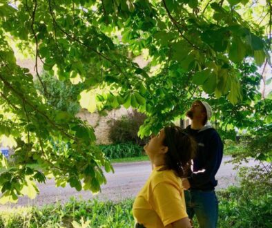 IMG_9813-2-1024x1024-1-1024x1024