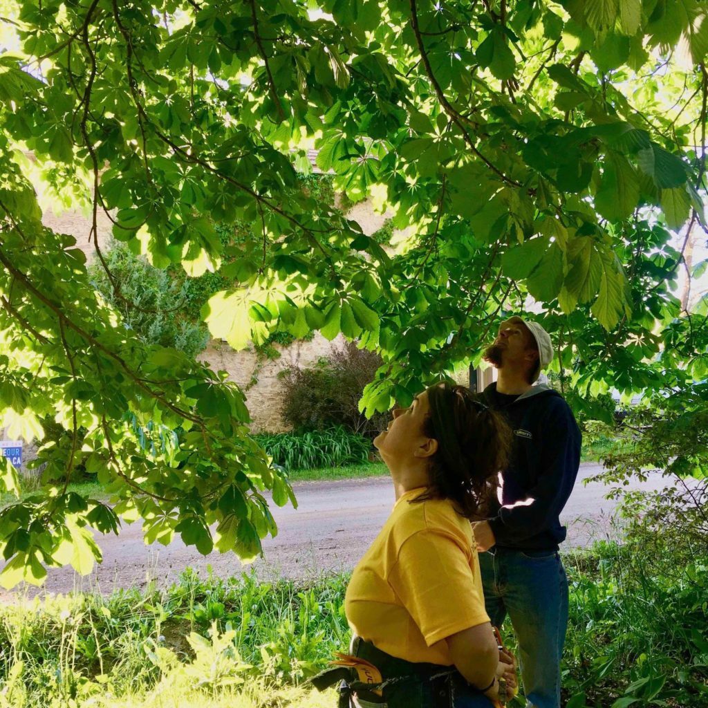 IMG_9813-2-1024x1024-1-1024x1024