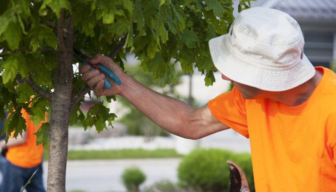 Inspecting-2-1024x683-1