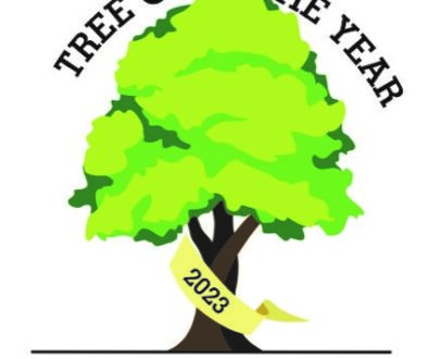 Tree of the Year 2023 03 R03