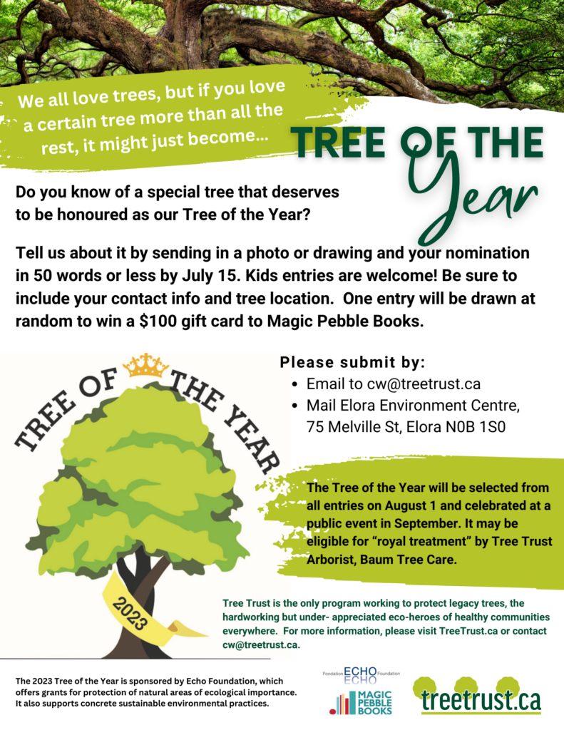 Tree of the Year 2023 – Elora Environment Centre