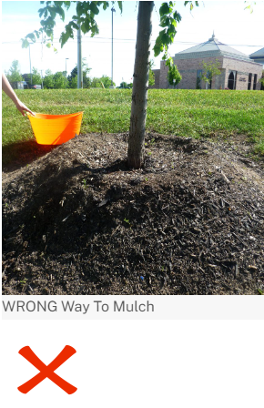 wrong mulch