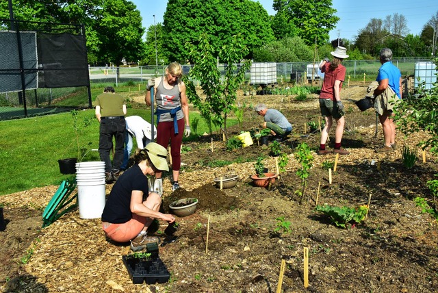 Food Forest planting day