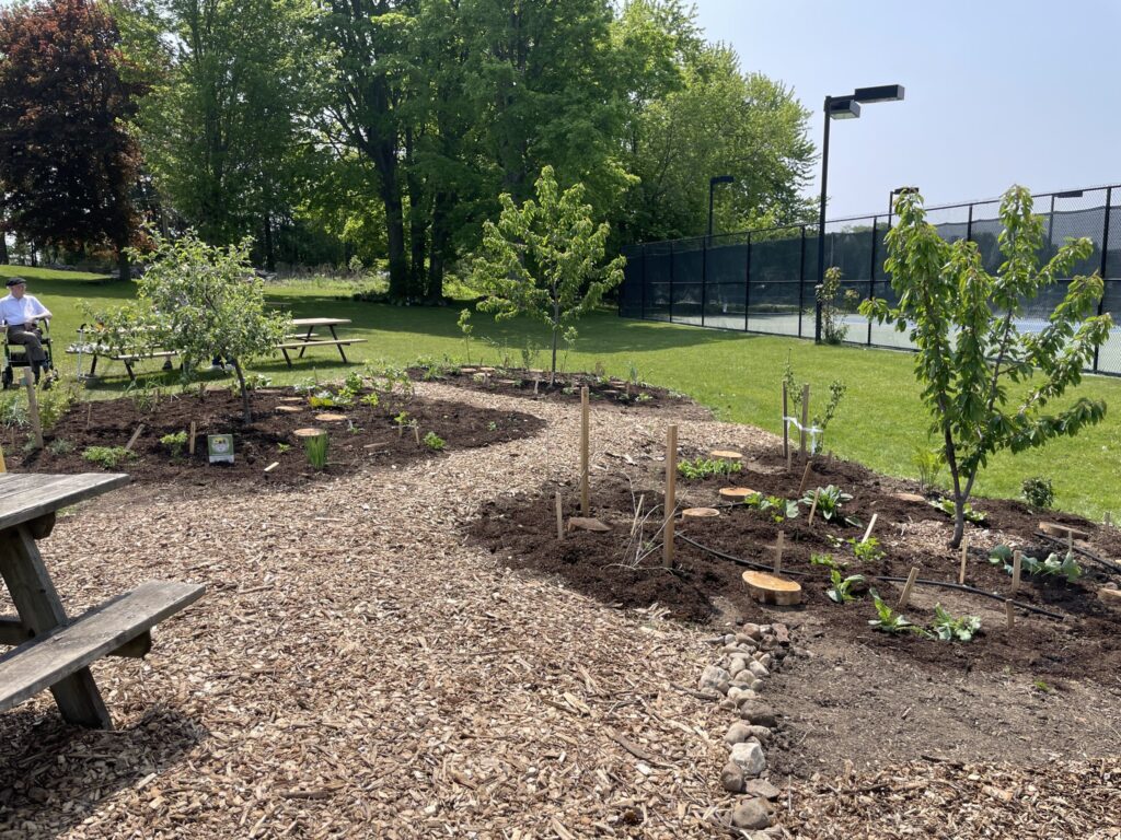 Food Forest planted