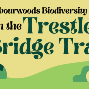 Trestle Bridge Trail thumbnail