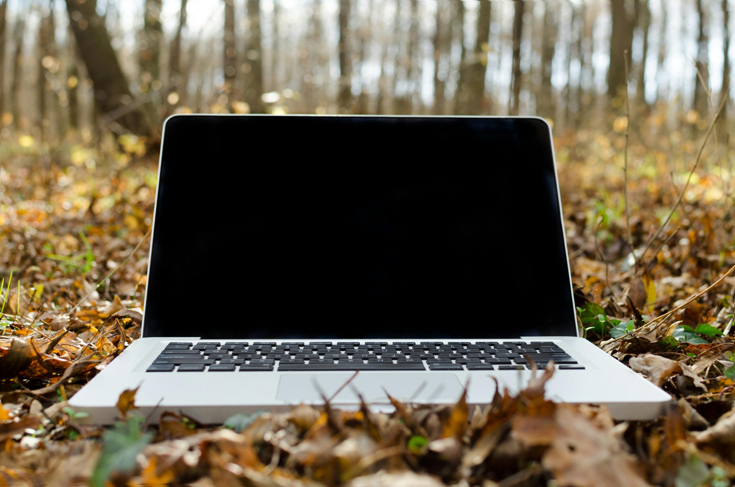 Laptop outdoors