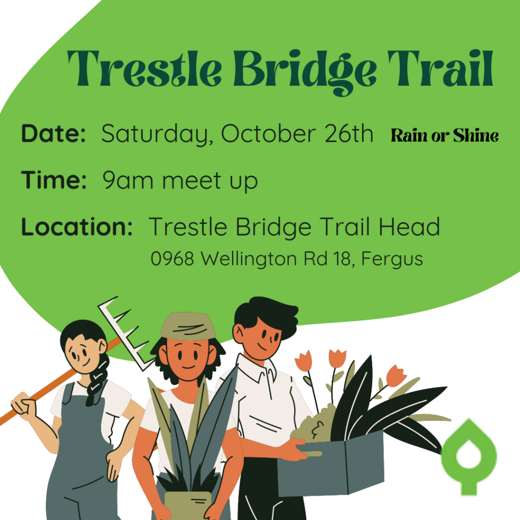 Trestle Bridge Trail Oct 26th