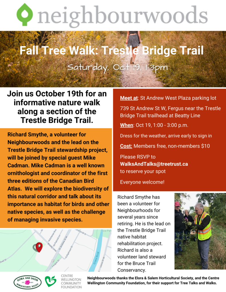 Trestle Bridge Trail walk 