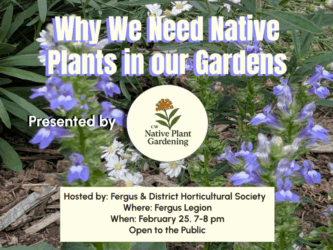 02 Feb 25 FDHS presentation