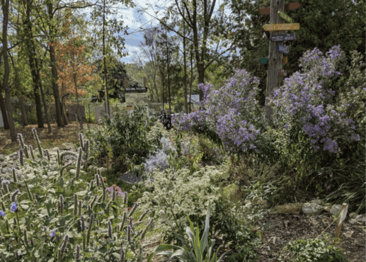 Screenshot 2026-01-20 at 10.32.42 AM