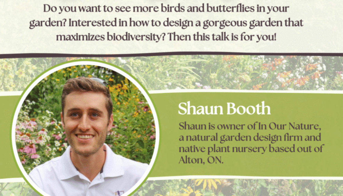 NW Spring Talk Poster 2026 copy