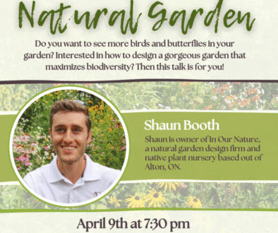 NW Spring Talk Poster 2026 copy