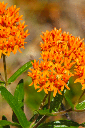 Screen Shot 2026-03-31 at 10.11.55 PM Screen Shot 2026-03-31 at 10.11.55 PM