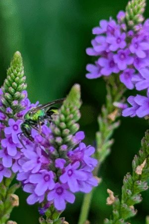 Screen Shot 2026-03-31 at 10.12.30 PM Screen Shot 2026-03-31 at 10.12.30 PM