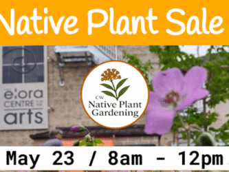 Screen Shot 2026-03-31 at 9.52.34 PM