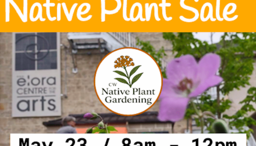 Screen Shot 2026-03-31 at 9.52.34 PM