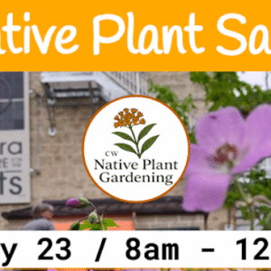 Screen Shot 2026-03-31 at 9.52.34 PM