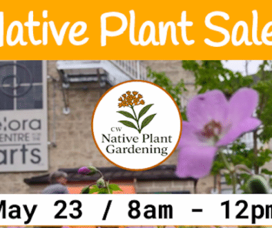 Screen Shot 2026-03-31 at 9.52.34 PM