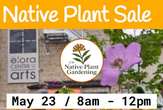 Screen Shot 2026-03-31 at 9.52.34 PM