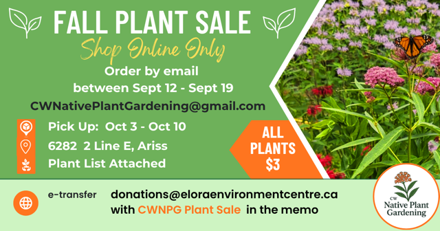 Fall Plant sale